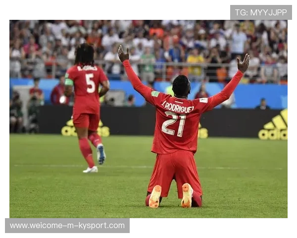 南非队守备出色，展现冠军风范，南非比赛